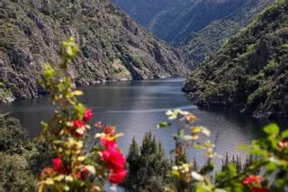 Navegando entre cañones: los catamaranes de la Ribeira Sacra sueltan amarras