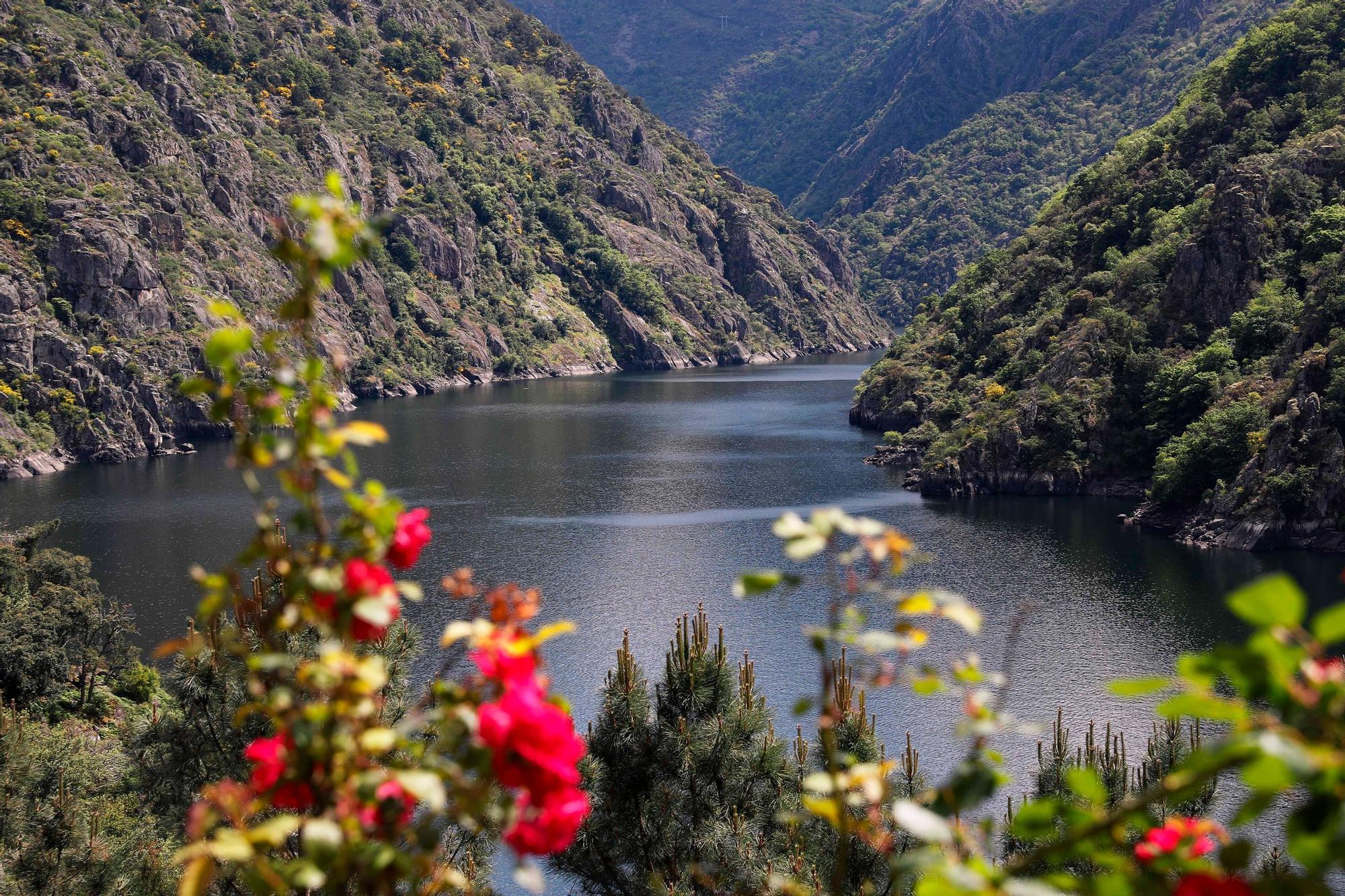 La magia de la Ribeira Sacra y los cañones del Sil, a vista de dron.