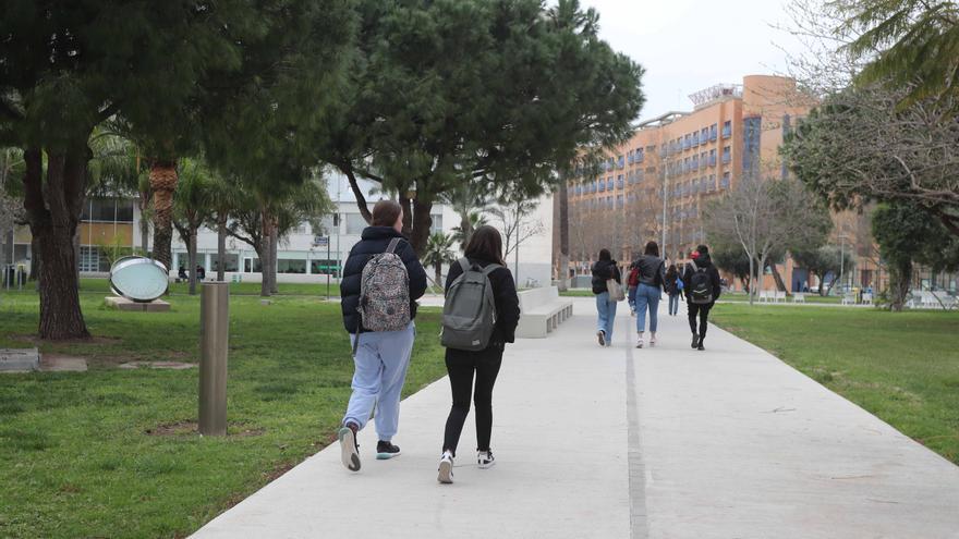 La UPV y la UV tendrán clases online y teletrabajo para el personal