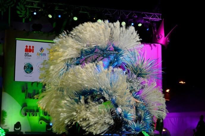 21-02-2020 LAS PALMAS D GRAN CANARIA. Elección de la Reina del Carnaval - 12. REPRESENTA A TODOS LOS ANIMALES ABANDONADOS DEL MUNDO, WAXI PELUQUEROS y ALQUILA TU LOOK presentan a Judith Rodríguez Guzmán con un trabajo de José Luis Tadeo López titulado Salvemos el Planeta, diosa de Carúm Berá.