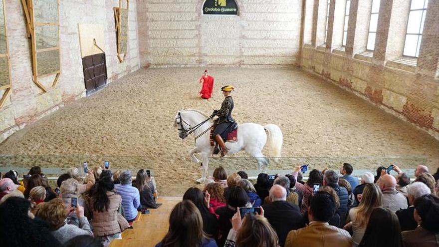 Espectáculo ecuestre por el Alzhéimer