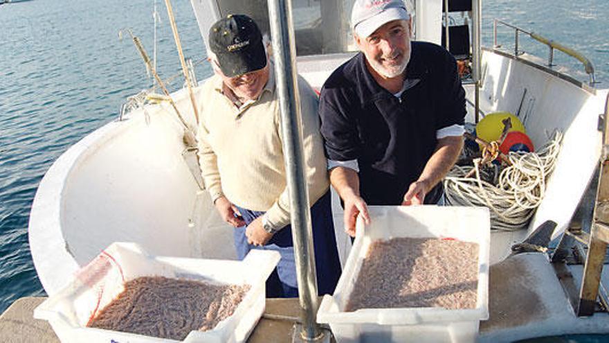 Pescadores del puerto de Alcúdia descargando jonquillo para llevarlo a la lonja.