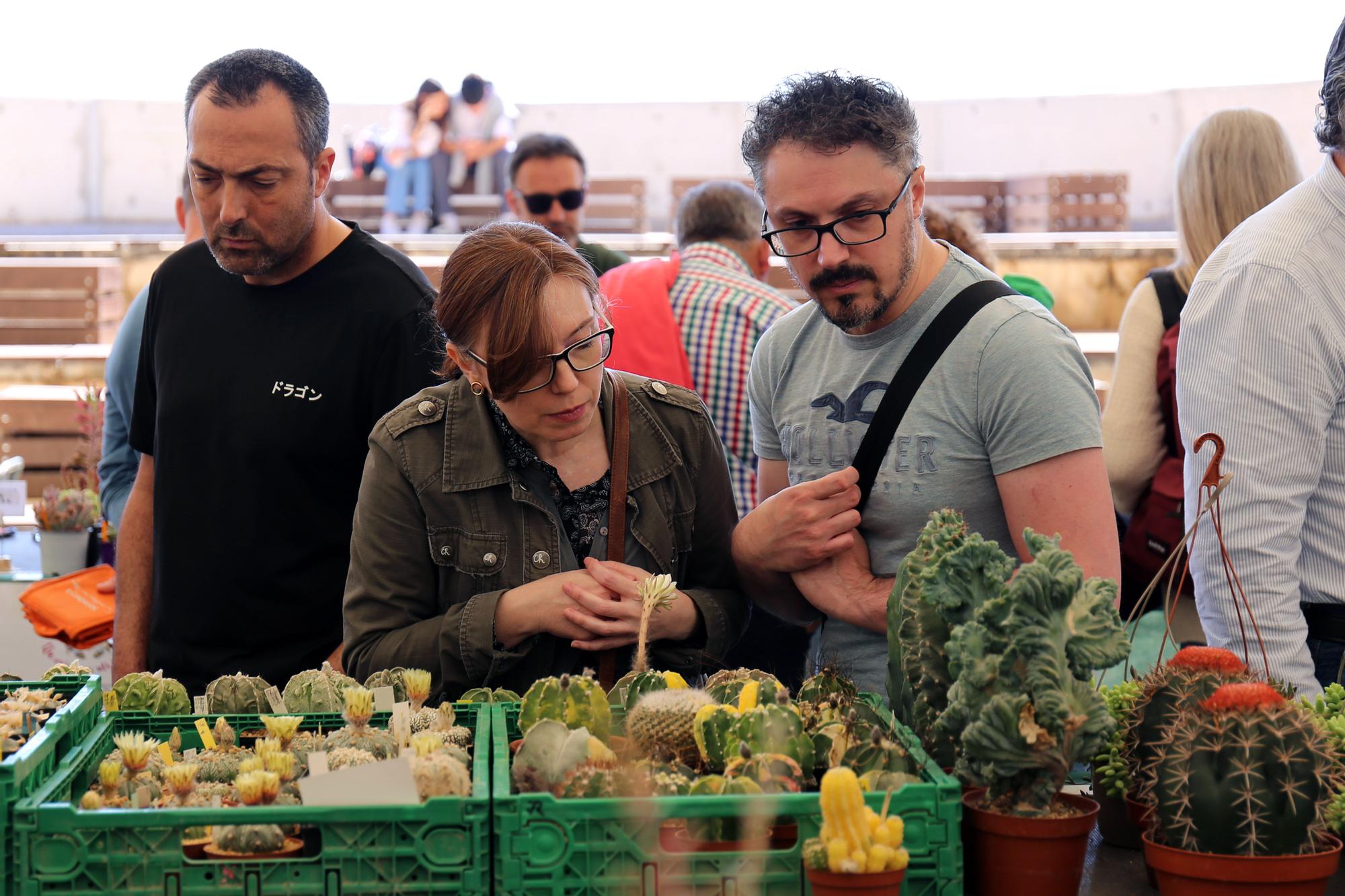 Cheste celebra la Feria del Medio Ambiente