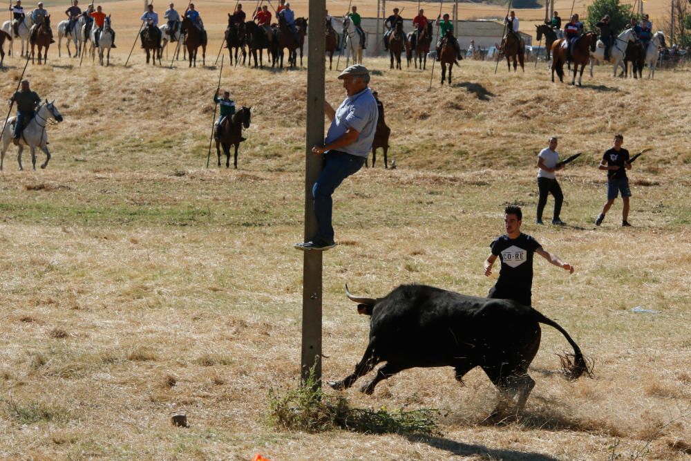 Espantes de Guarrate