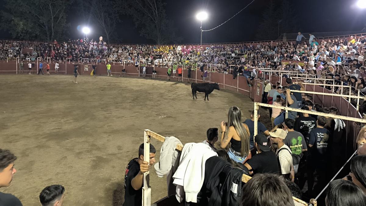 GALERÍA | Noche de vaquillas en San Cristóbal de Entreviñas