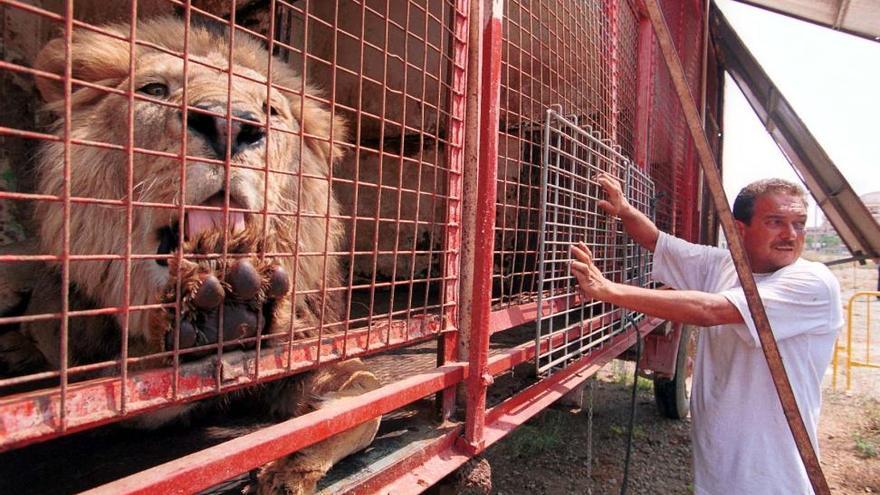 Pacma insiste en que un circo con animales incumple la normativa de protección de la Junta