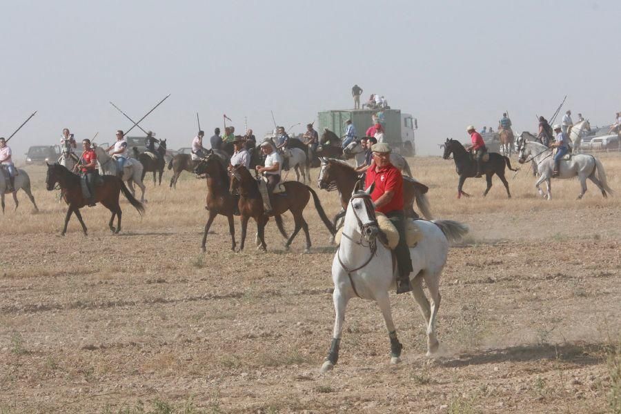 Fiestas en Zamora: Encierro en Villalpando