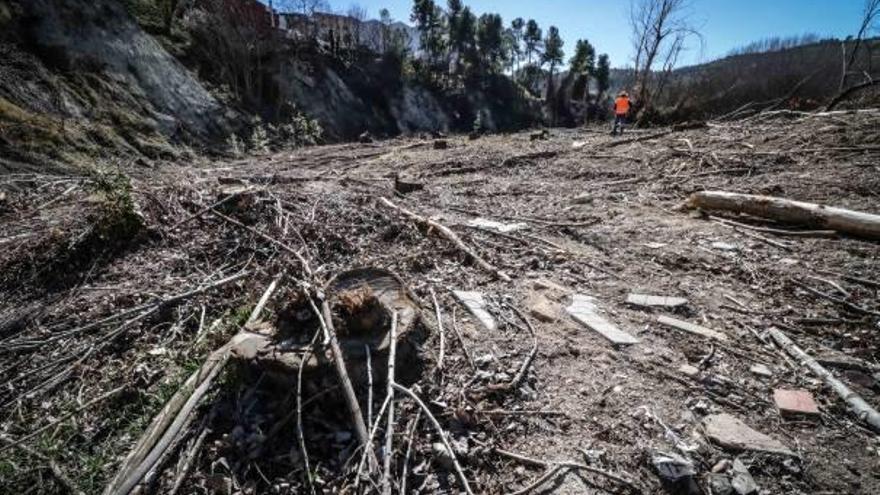 Imagen desoladora de la ribera del río Frainos a su paso por Benilloba, lugar en el que se ha llevado a cabo una tala masiva de árboles.