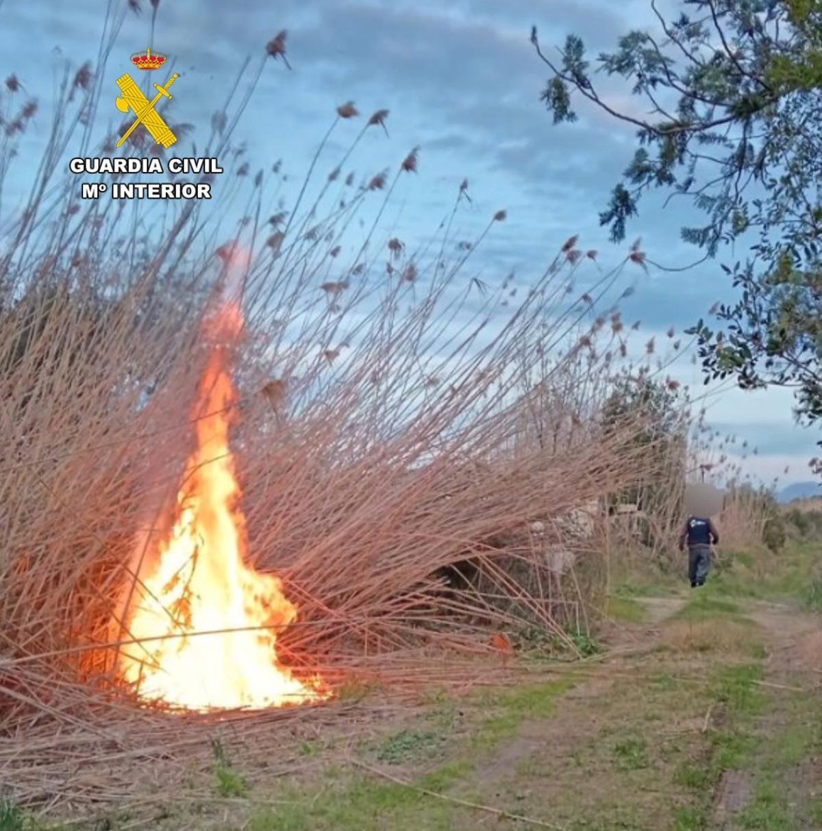 La foto en la que aparece el sospechoso tras provocar un incendio.