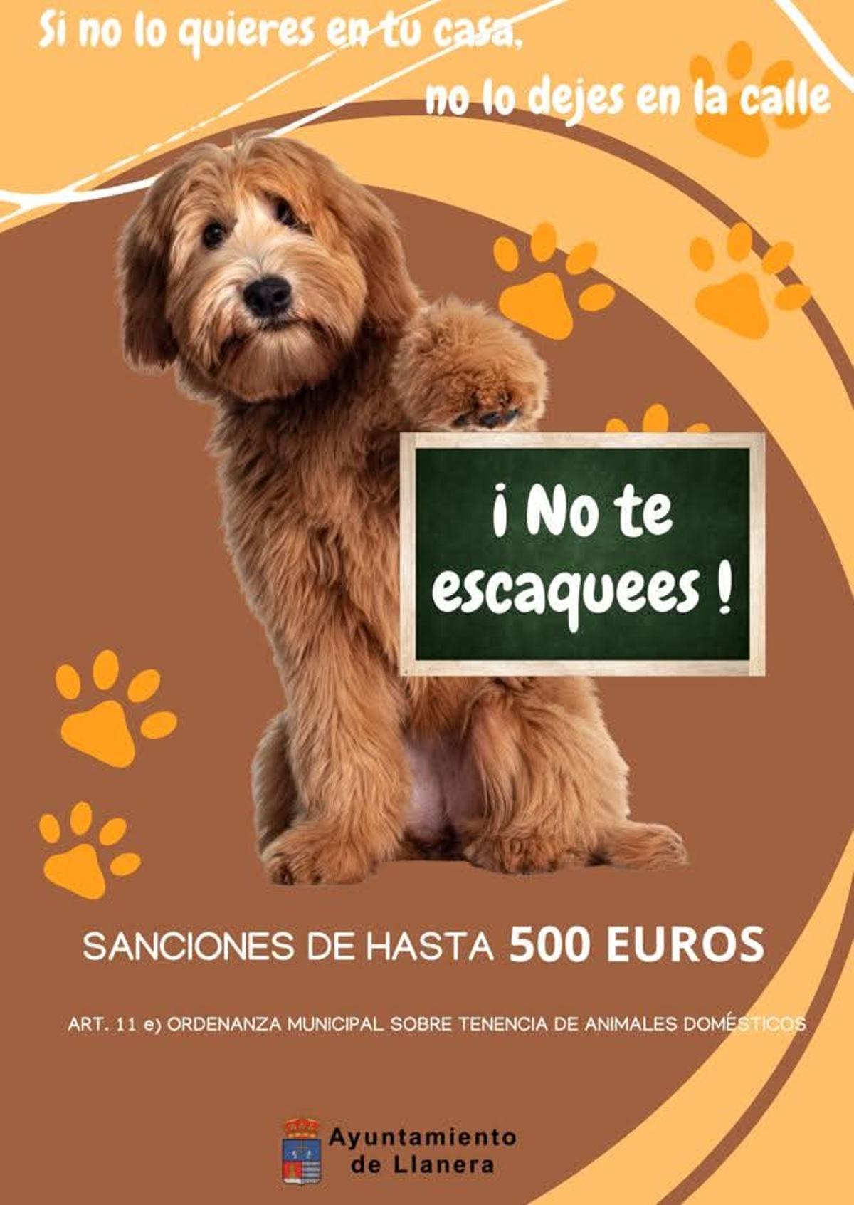Cartel de la campaña.
