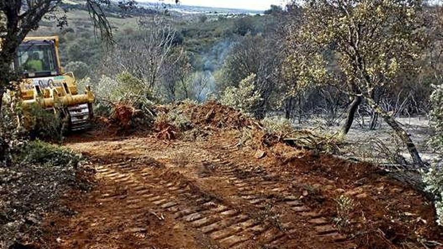 Días de incendios en La Raya