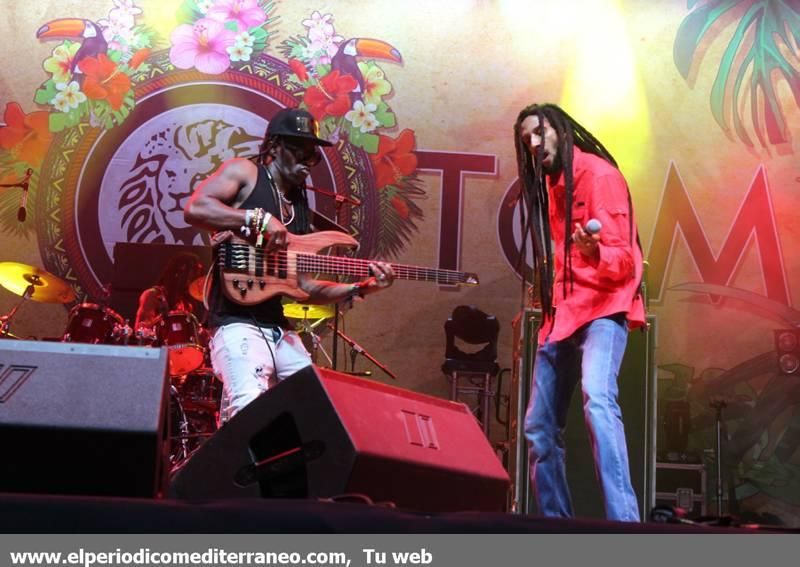 Rototom 2018