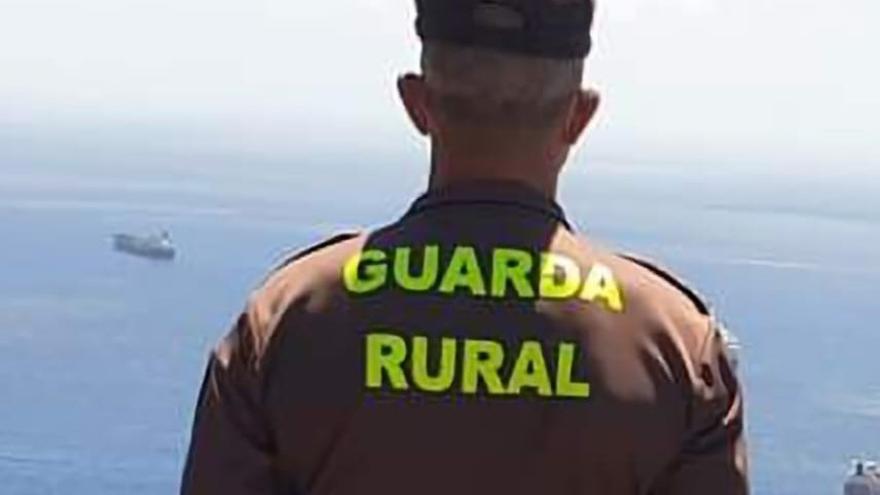 Indemnizan a un guarda tras ser despedido de un coto de caza en Tenerife