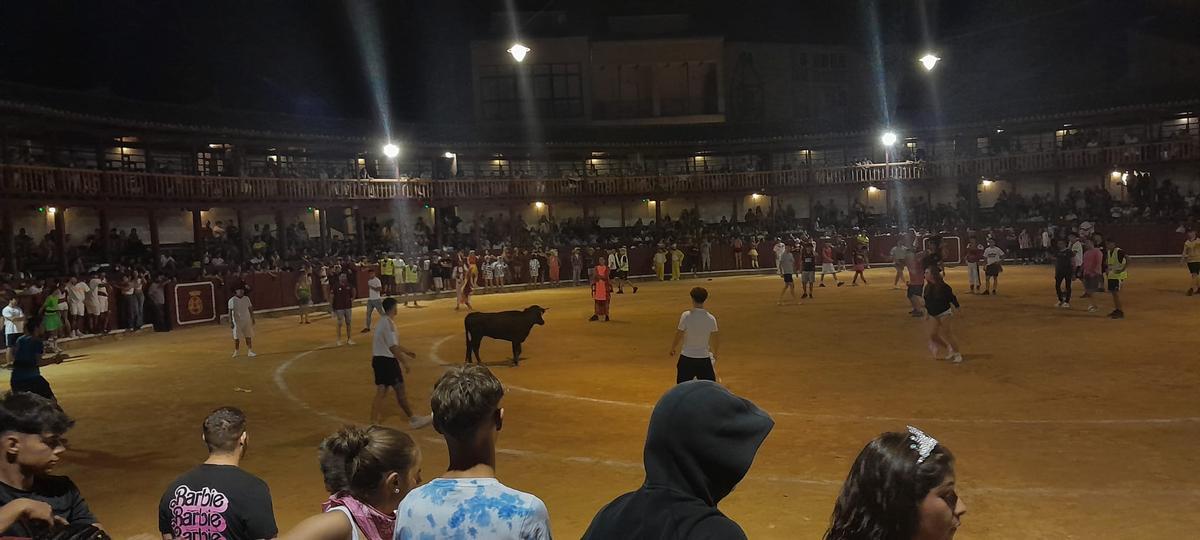 GALERÍA | La verbena taurina de las Fiestas de San Agustín de Toro, en imágenes GALERÍA | La verbena taurina de las Fiestas de San Agustín de Toro, en imágenes
