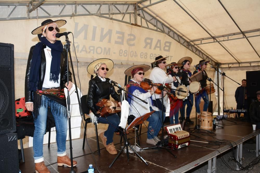 Éxito rotundo de la X Festa do Petote con 800 raciones