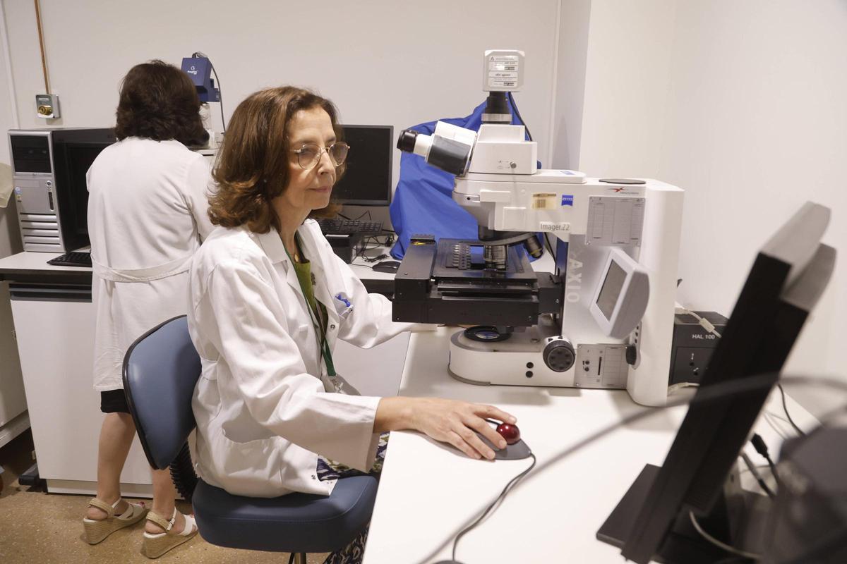Profesionales de la Unidad de Genética del hospital Reina Sofía.