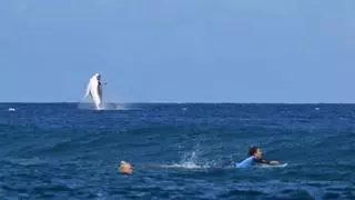 ¡Una ballena se cuela en las semifinales de surf!