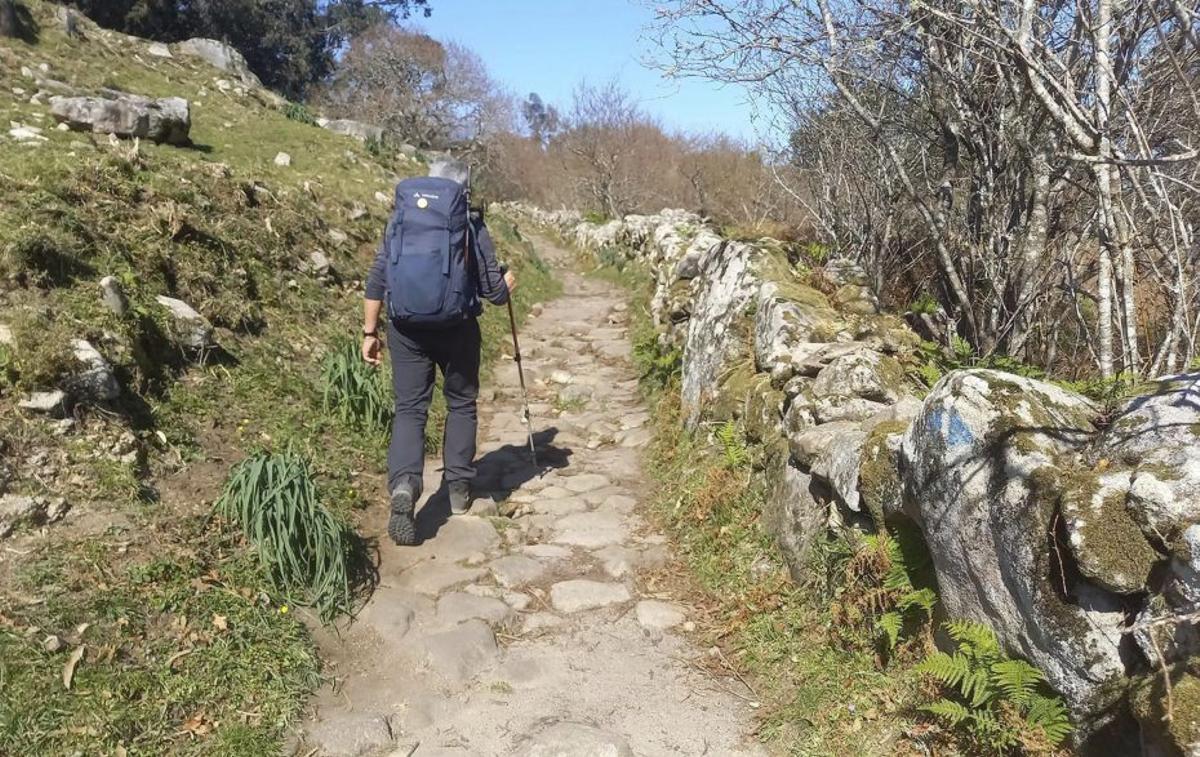 El Concello encargó el acondicionamiento de la red de senderos. | PABLO H. GAMARRA