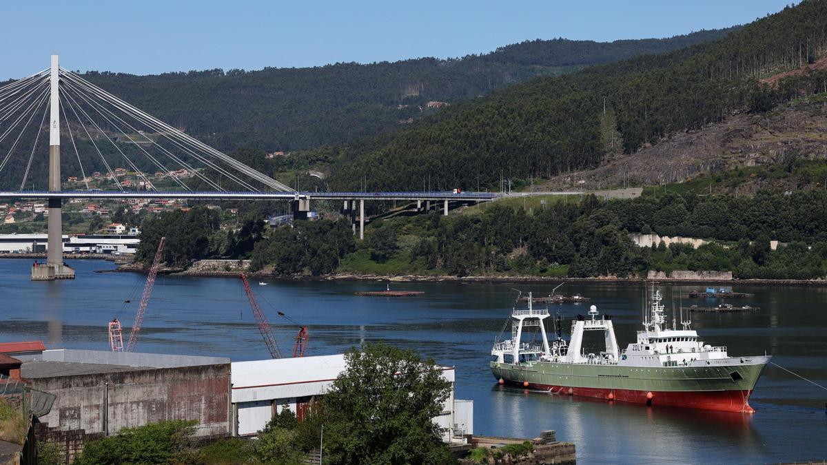 El "Capricorn", pasando el puente de Rande