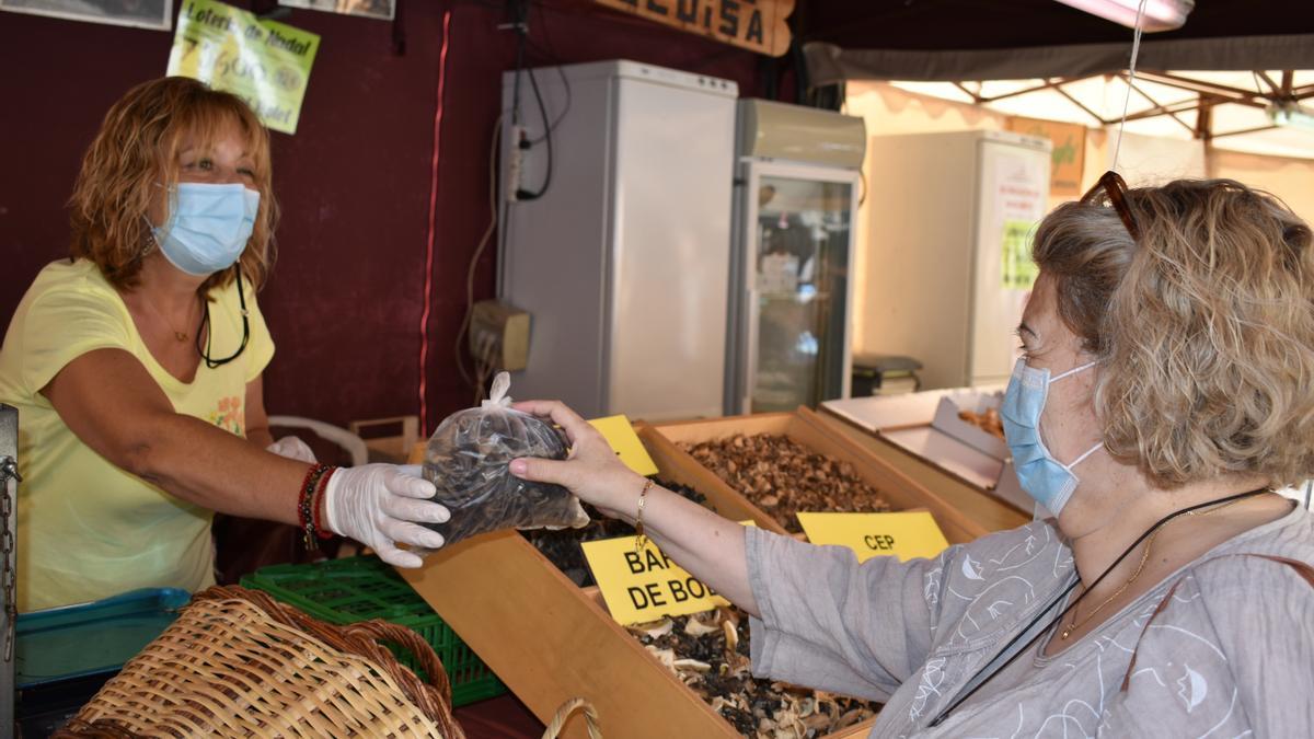 El mercat de Cal Rosal obre amb la vista posada en l&#039;arribada de més bolets