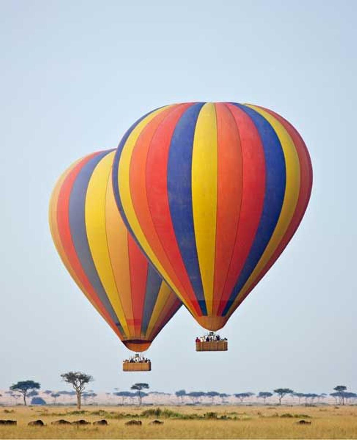 Maasai Mara8