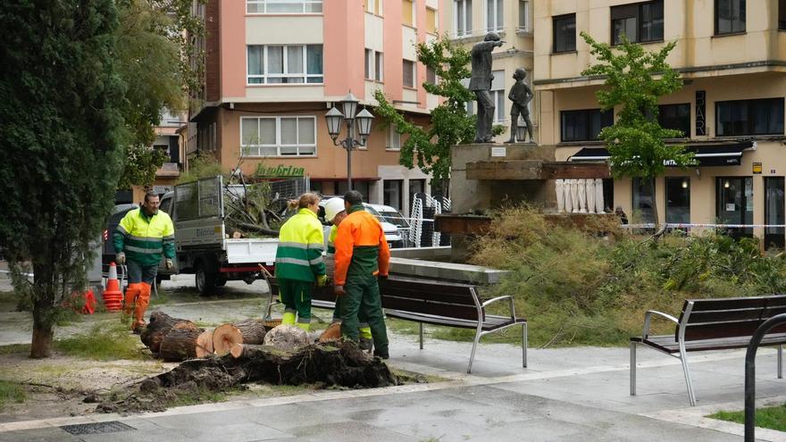El Ayuntamiento desaconseja acudir el sábado a zonas con árboles por la previsión de fuertes rachas de viento