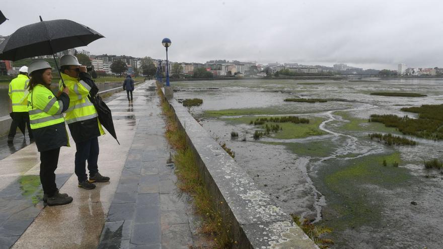 La ría de A Coruña, nueva vida de un hábitat limpio