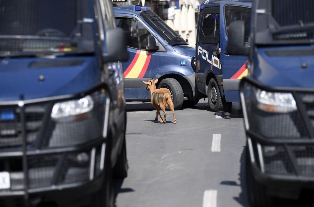 Un manifestante, cocinando tras cortar la autovía a su paso por Jumilla. | ISRAEL SÁNCHEZ