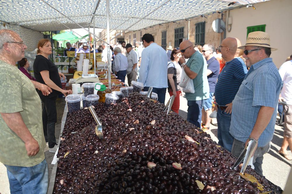 El 'porc negre', estrella de la feria de Son Carrió