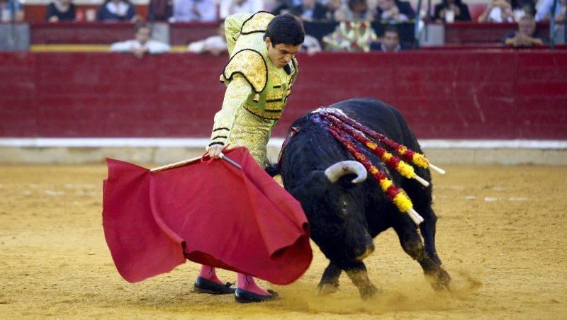 Novillada en la plaza de Toros