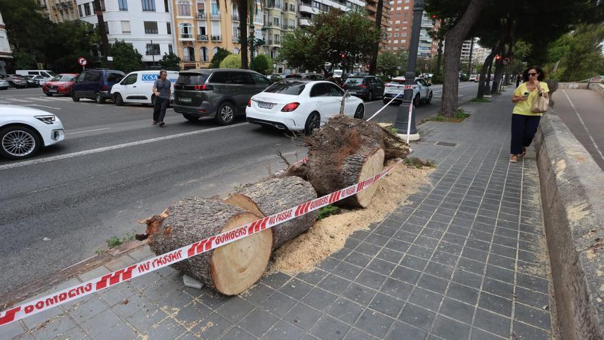 Una lluvia torrencial deja más de 200 litros en Albalat de la Ribera en una noche