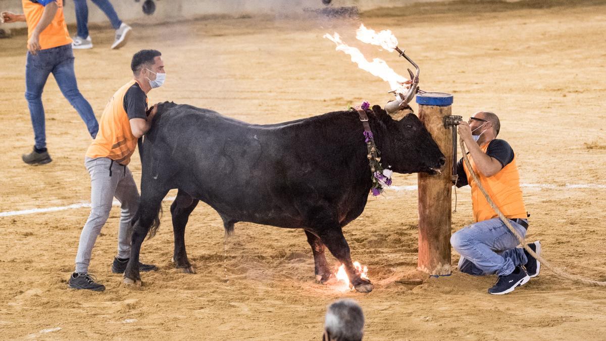 Miguel ‘Cali’ de la cuadrilla Calaixons de les Alqueries fue el mejor cortador.