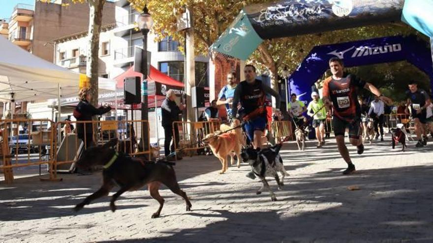 Imatge del primer Canicròs de Regió7, que es va celebrar per aquestes mateixes dates l&#039;any passat