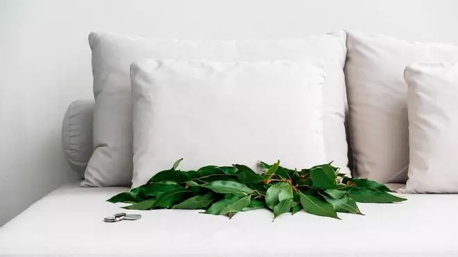 El truco de la hoja de laurel debajo de la almohada que cada vez sigue más gente en España