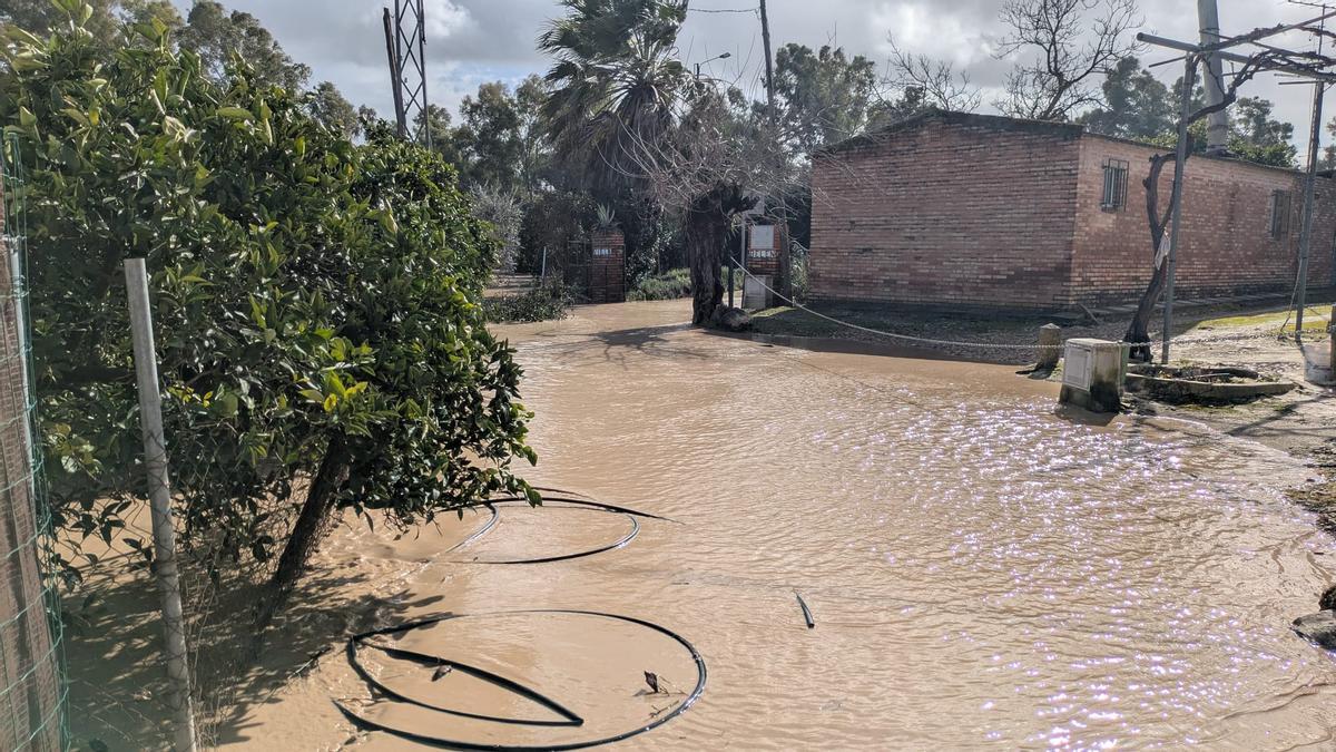 Zona de huertas desalojada en Palma del Río.