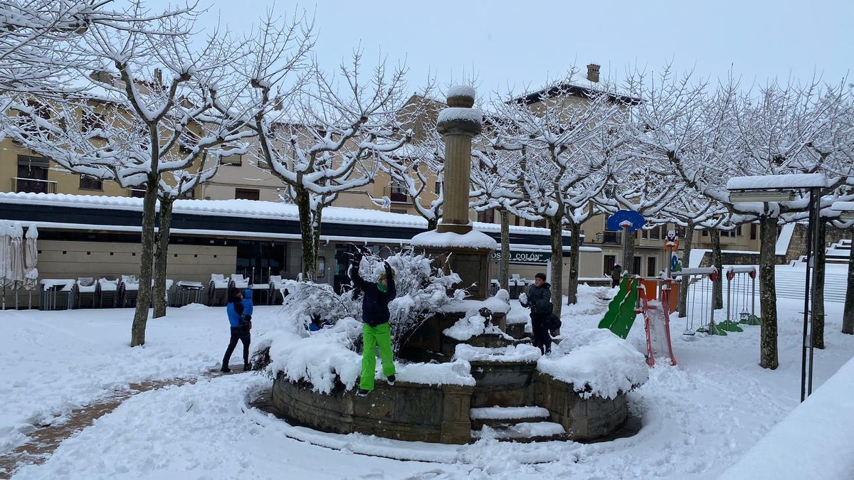 Morella