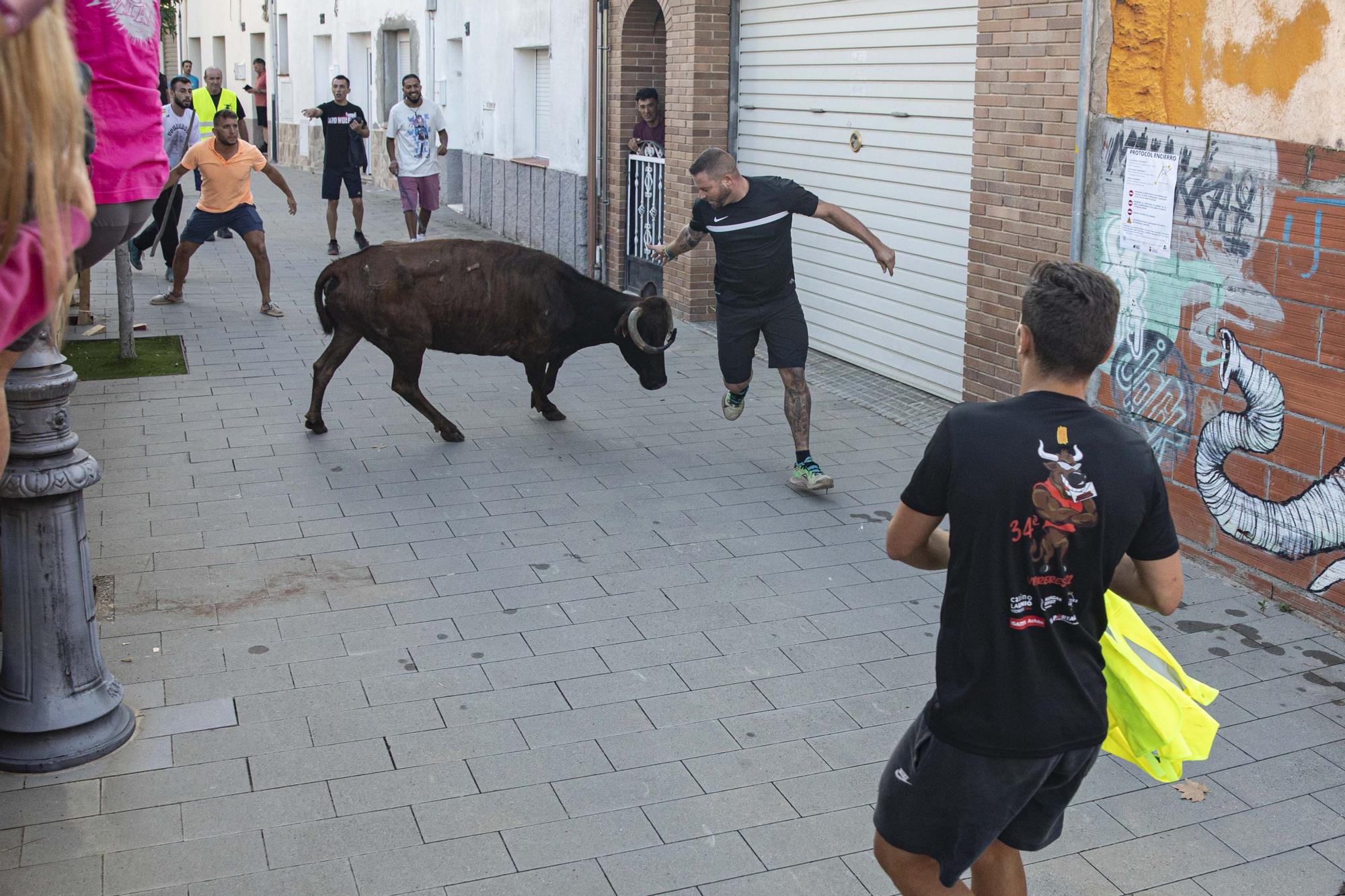 Vidreres celebra un «encierro» sense incidents i amb molta participació