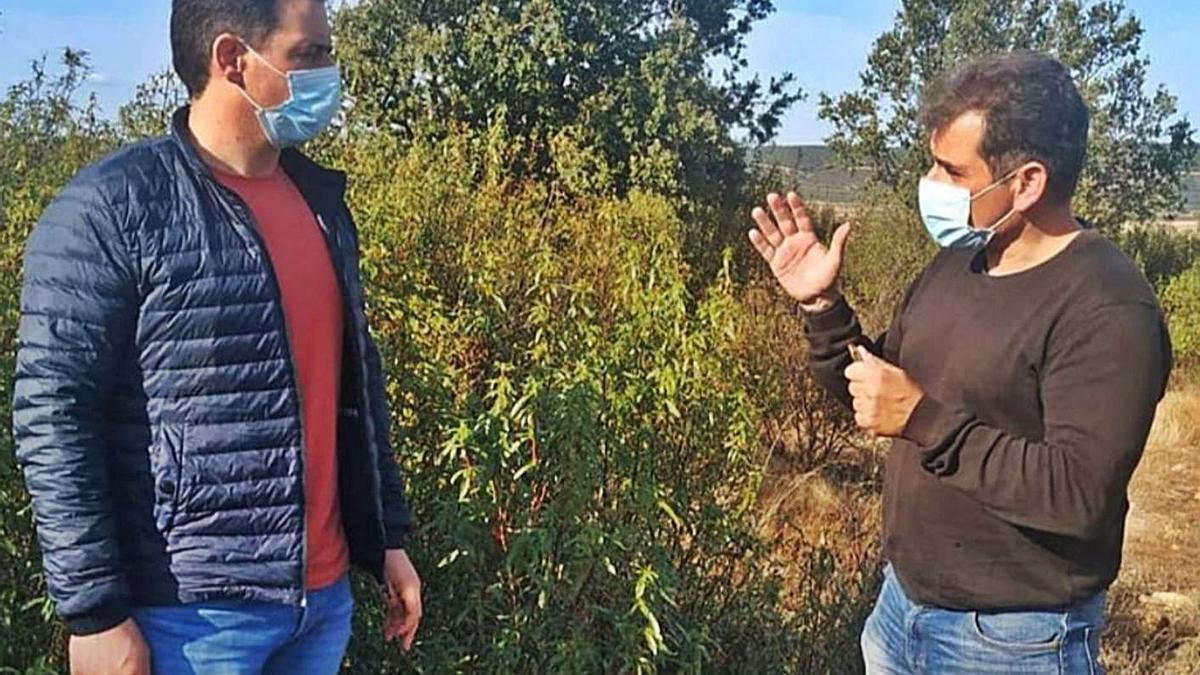 A la izquierda el alcalde de Tábara habla con un técnico en los montes de Tábara. | Ch. S.