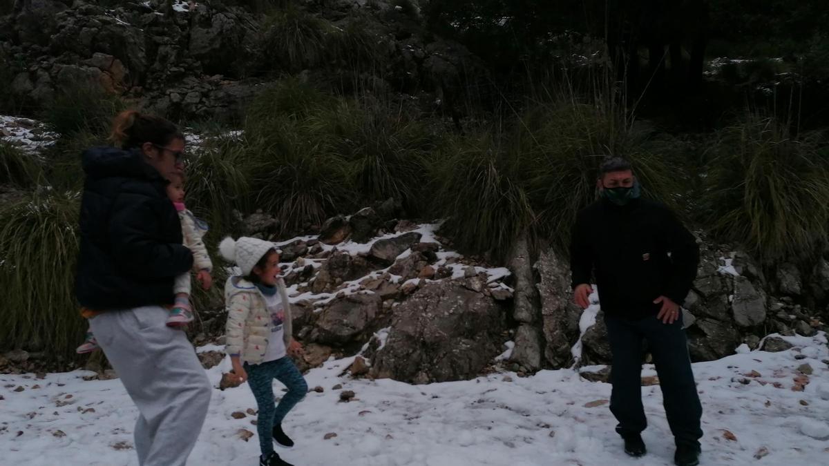 Las mejores imágenes de la nieve en la Serra de Tramuntana