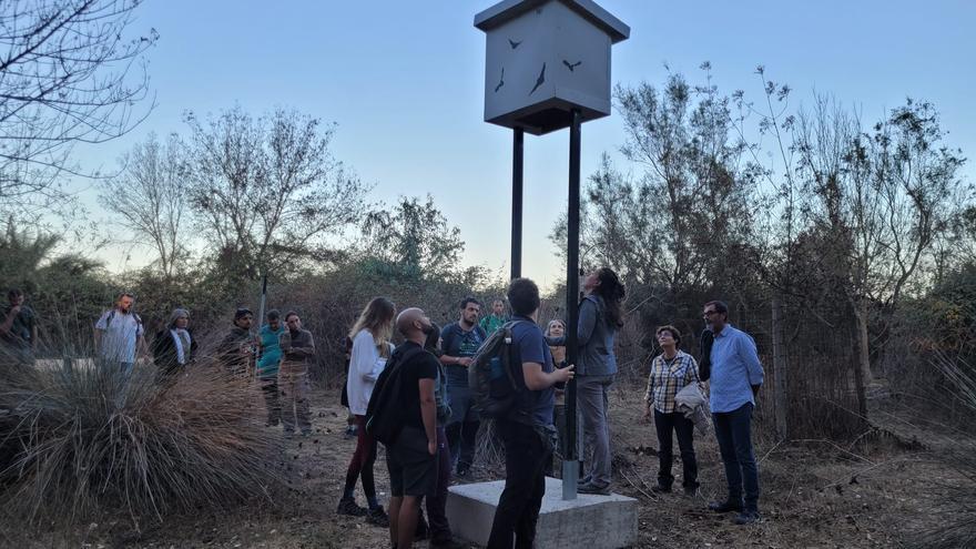 Doñana prepara la mudanza de 3.500 murciélagos