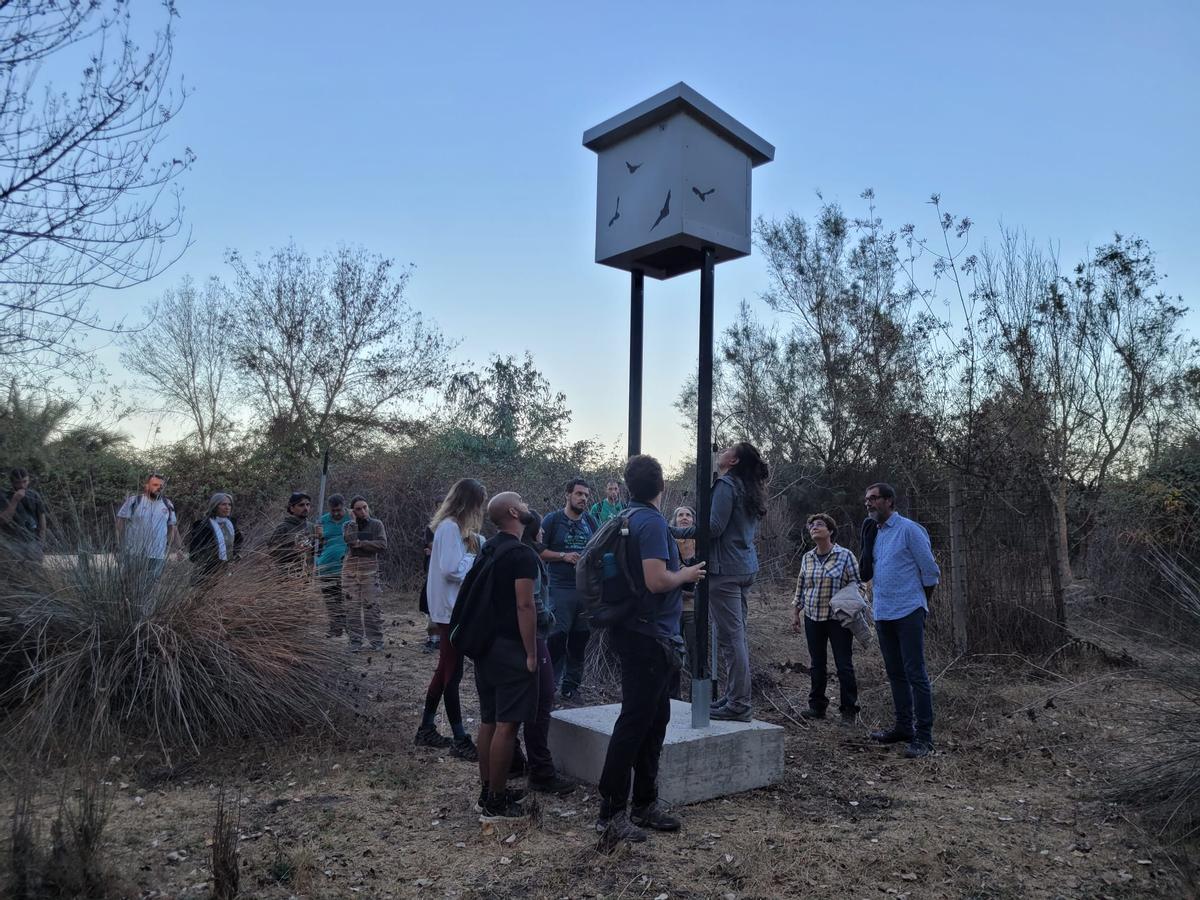 Doñana prepara la mudanza de 3.500 murciélagos