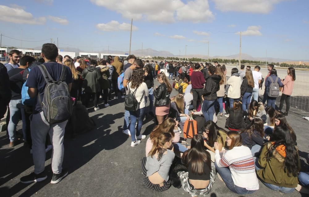 Paellas Festival de Alicante