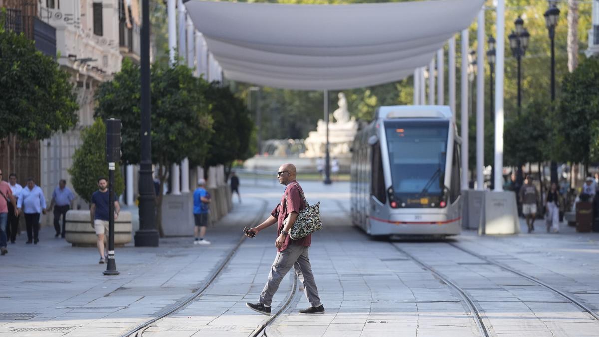 Imágenes de la Avenida de la Constitución de Sevilla luciendo los primeros toldos instalados en la jornada de hoy. A 22 de agosto de 2025, en Sevilla (Andalucía, España). El Ayuntamiento hispalense ha instalado este viernes los primeros toldos en la Avenida de la Constitución dando respuesta a una demanda histórica con la que conseguirá casi 1300 metros cuadrados de sombra. 22 AGOSTO 2025 Joaquin Corchero / Europa Press 22/08/2025. Joaquin Corchero;category_code_new