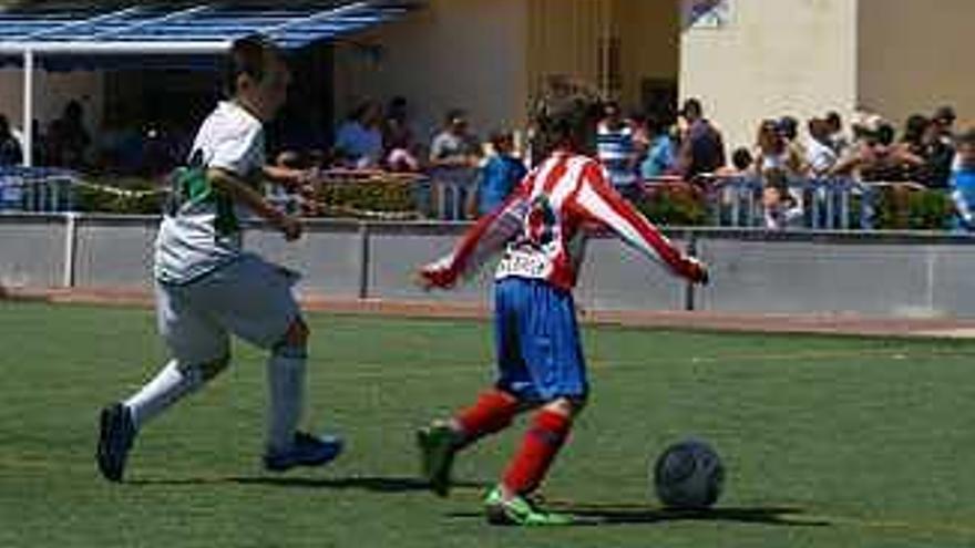 Mañana se disputa el III Torneo de Rojales