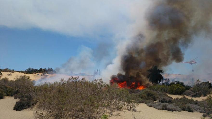 Incendio en el espacio natural protegido de las Dunas de Maspalomas en el verano del año 2016.