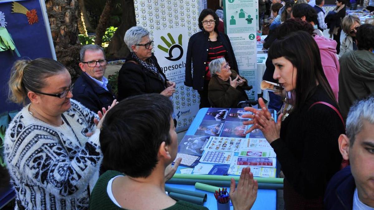 Actividades por el Dia de la Discapacidad en Elche en 2019