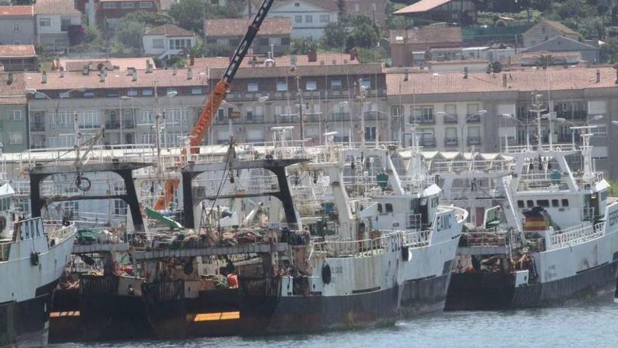 Barcos arrastreros en el puerto de Marín. // Santos Álvarez