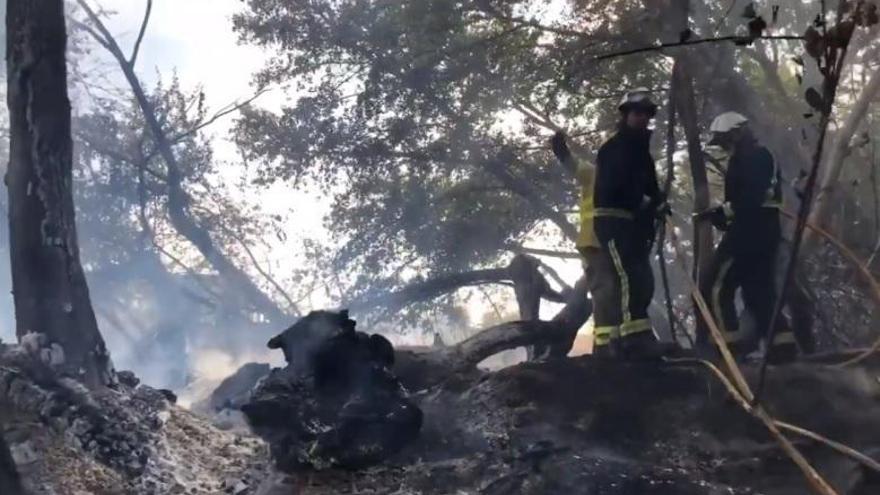 Un incendio calcina alrededor de cuatro hectáreas en Encinarejo