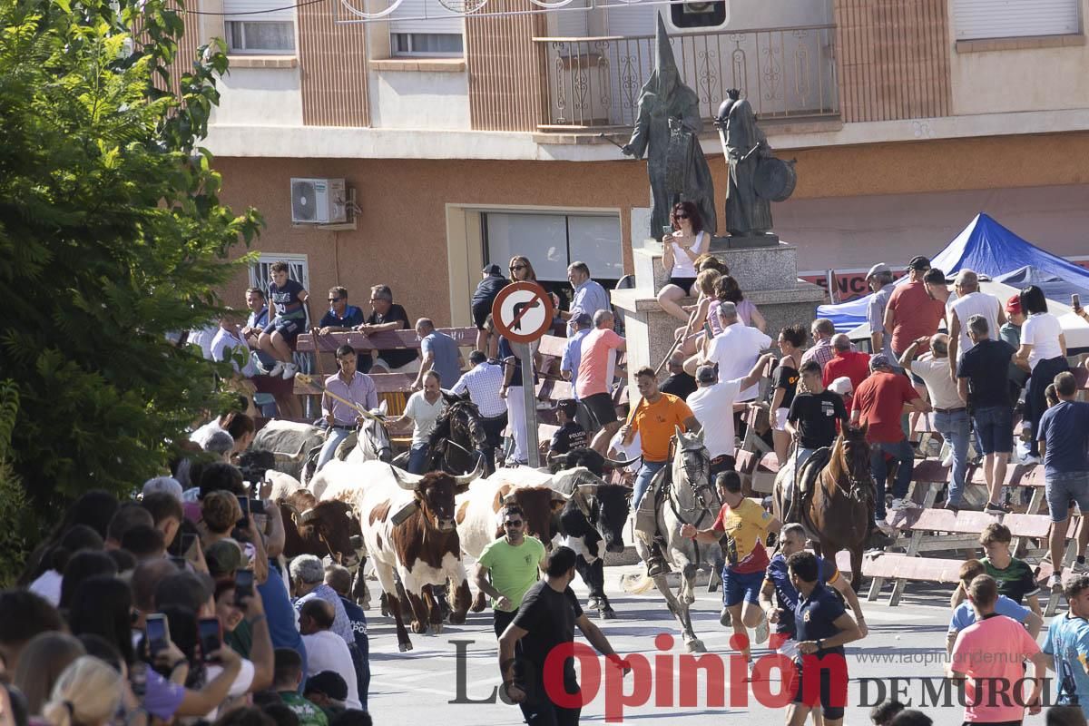 Séptimo encierro de las Fiestas de Moratalla