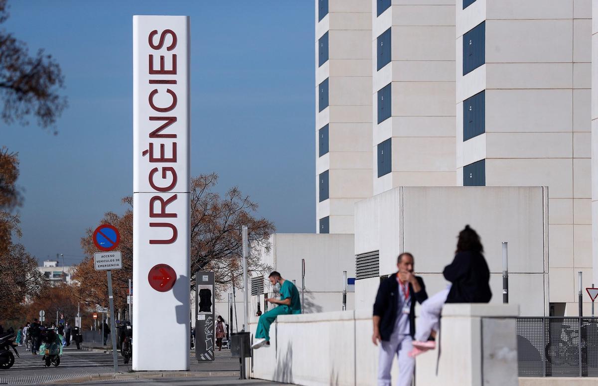 Els morts per Covid al País Valencià seran enterrats o incinerats en menys de 24 hores Els morts per Covid al País Valencià seran enterrats o incinerats en menys de 24 hores